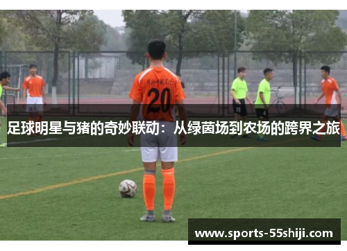 足球明星与猪的奇妙联动:从绿茵场到农场的跨界之旅 足球明星与猪的奇妙联动:从绿茵场到农场的跨界之旅
