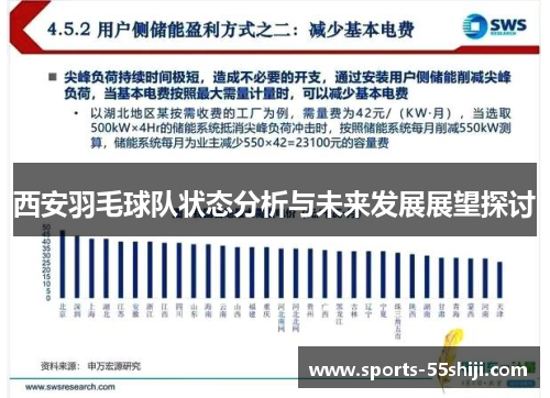 西安羽毛球队状态分析与未来发展展望探讨